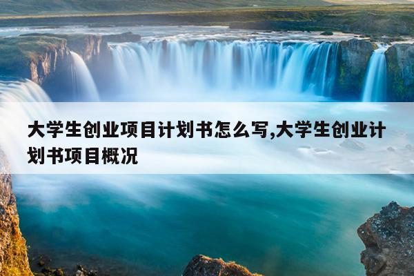 大学生创业项目计划书怎么写,大学生创业计划书项目概况