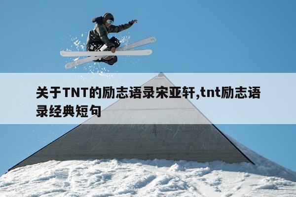 关于TNT的励志语录宋亚轩,tnt励志语录经典短句
