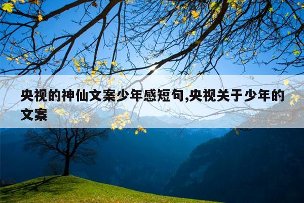 央视的神仙文案少年感短句,央视关于少年的文案