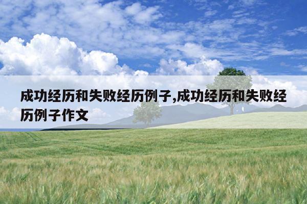 成功经历和失败经历例子,成功经历和失败经历例子作文