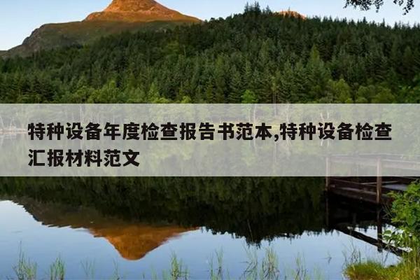特种设备年度检查报告书范本,特种设备检查汇报材料范文