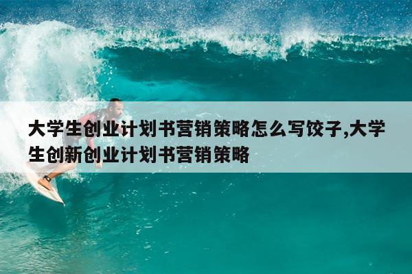 大学生创业计划书营销策略怎么写饺子,大学生创新创业计划书营销策略