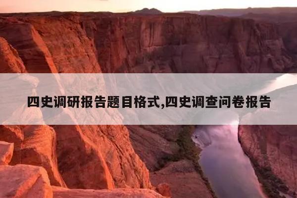 四史调研报告题目格式,四史调查问卷报告