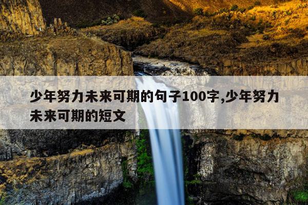 少年努力未来可期的句子100字,少年努力未来可期的短文