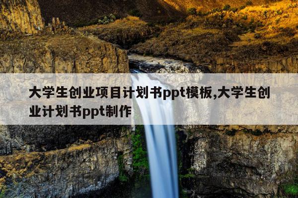 大学生创业项目计划书ppt模板,大学生创业计划书ppt制作