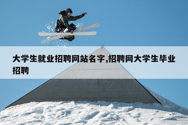 大学生就业招聘网站名字,招聘网大学生毕业招聘