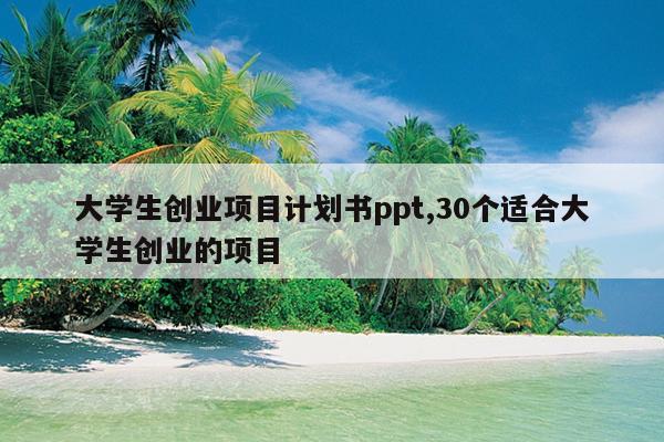 大学生创业项目计划书ppt,30个适合大学生创业的项目