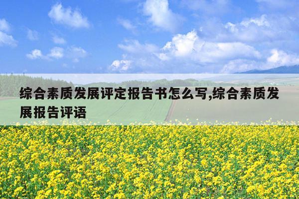 综合素质发展评定报告书怎么写,综合素质发展报告评语