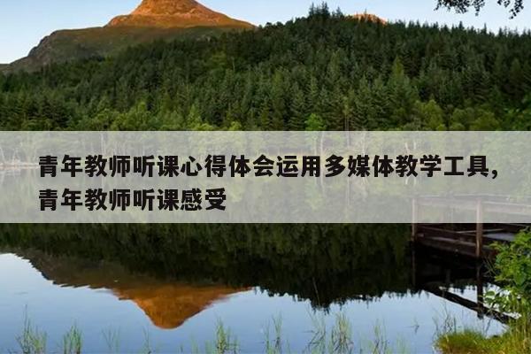 青年教师听课心得体会运用多媒体教学工具,青年教师听课感受