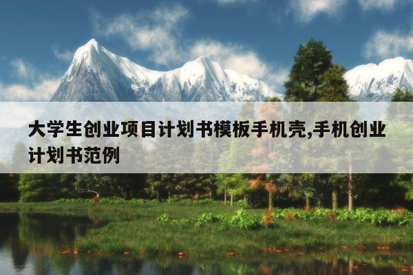 大学生创业项目计划书模板手机壳,手机创业计划书范例
