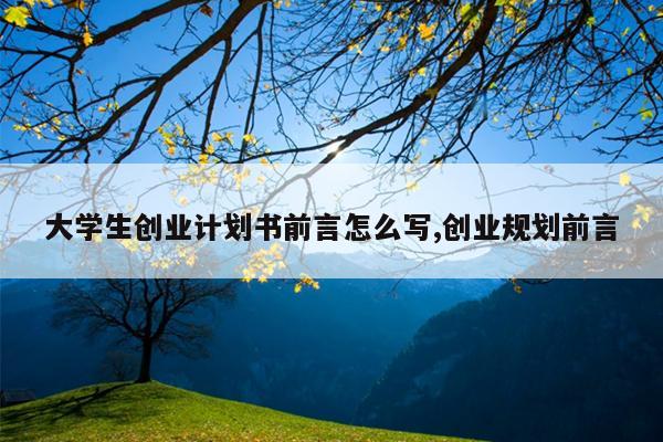 大学生创业计划书前言怎么写,创业规划前言
