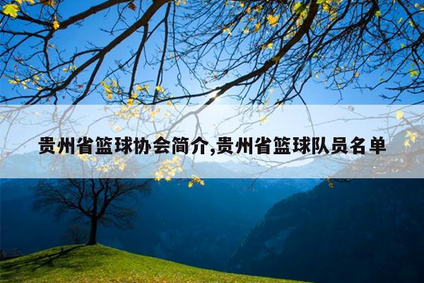贵州省篮球协会简介,贵州省篮球队员名单