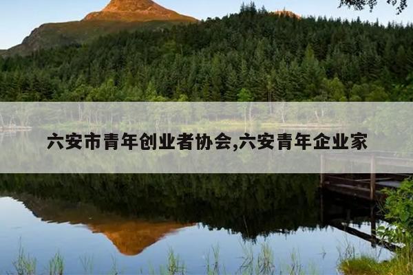 六安市青年创业者协会,六安青年企业家