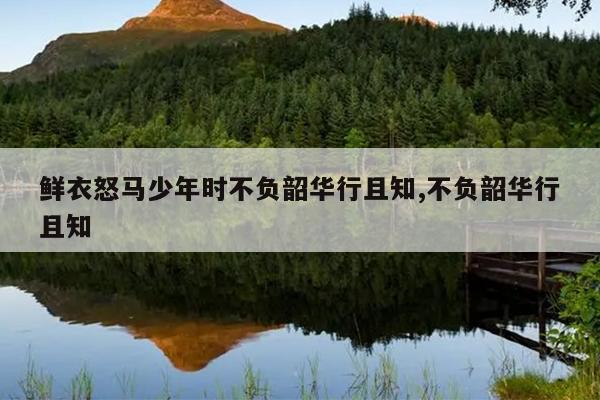鲜衣怒马少年时不负韶华行且知,不负韶华行且知