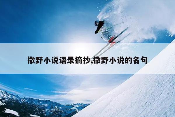撒野小说语录摘抄,撒野小说的名句