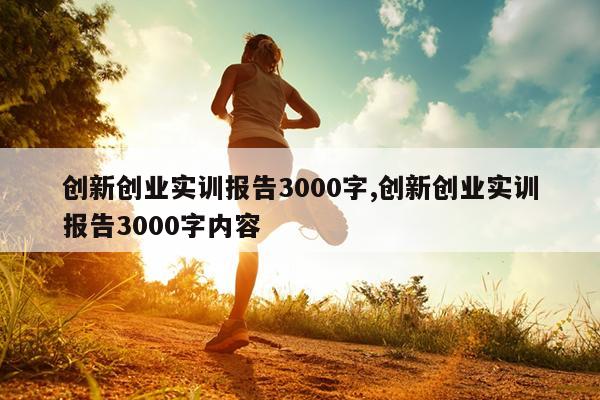 创新创业实训报告3000字,创新创业实训报告3000字内容