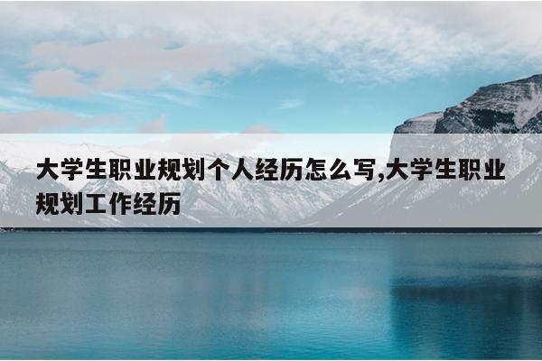 大学生职业规划个人经历怎么写,大学生职业规划工作经历