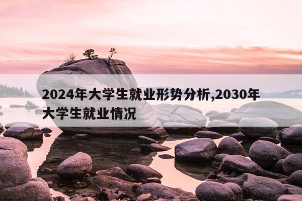 2024年大学生就业形势分析,2030年大学生就业情况