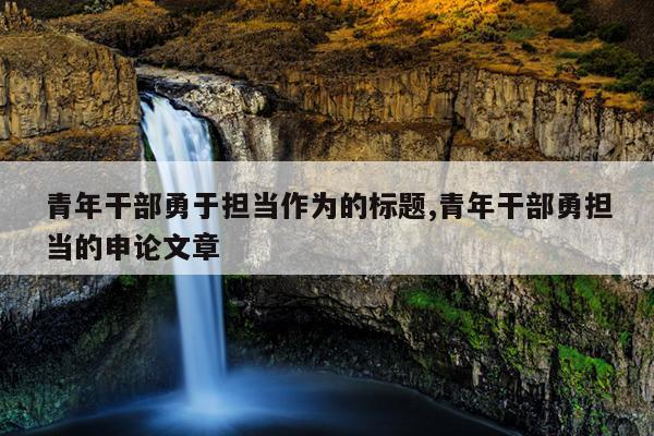 青年干部勇于担当作为的标题,青年干部勇担当的申论文章