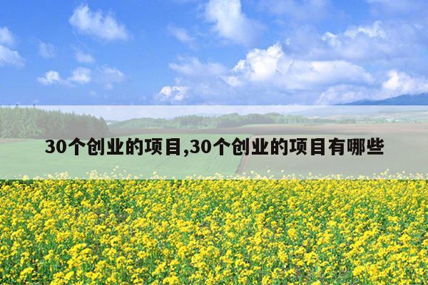 30个创业的项目,30个创业的项目有哪些