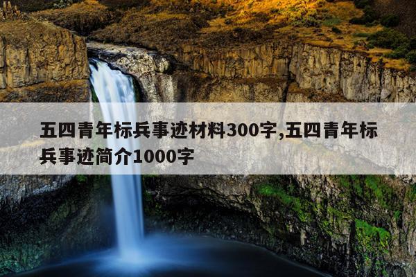 五四青年标兵事迹材料300字,五四青年标兵事迹简介1000字