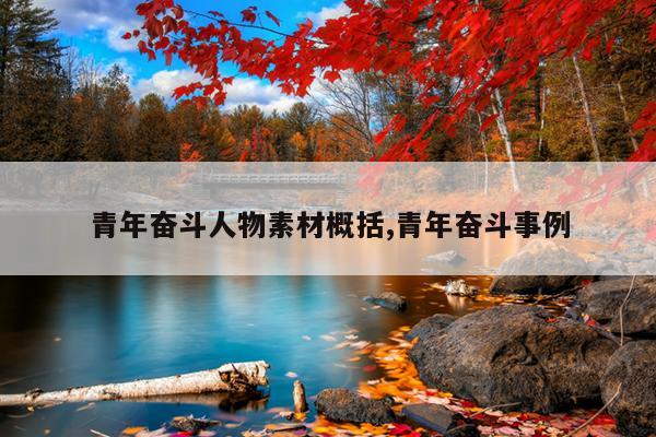 青年奋斗人物素材概括,青年奋斗事例