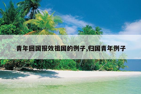 青年回国报效祖国的例子,归国青年例子