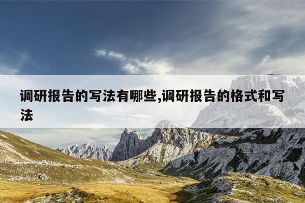 调研报告的写法有哪些,调研报告的格式和写法