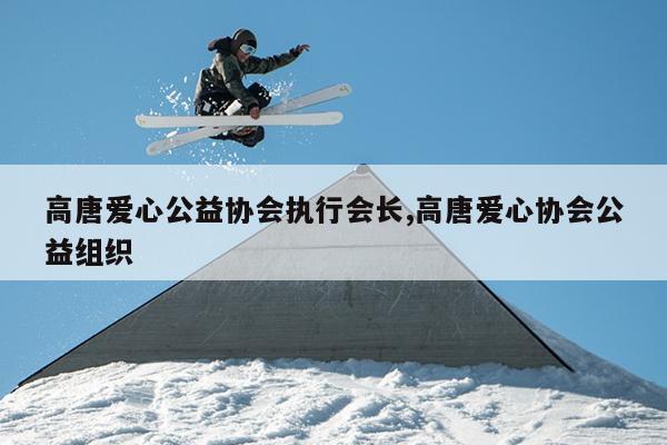 高唐爱心公益协会执行会长,高唐爱心协会公益组织