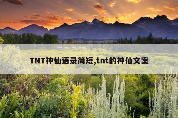 TNT神仙语录简短,tnt的神仙文案
