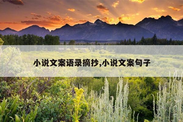 小说文案语录摘抄,小说文案句子