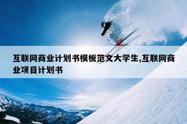 互联网商业计划书模板范文大学生,互联网商业项目计划书