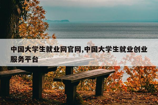 中国大学生就业网官网,中国大学生就业创业服务平台
