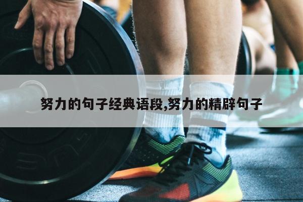努力的句子经典语段,努力的精辟句子