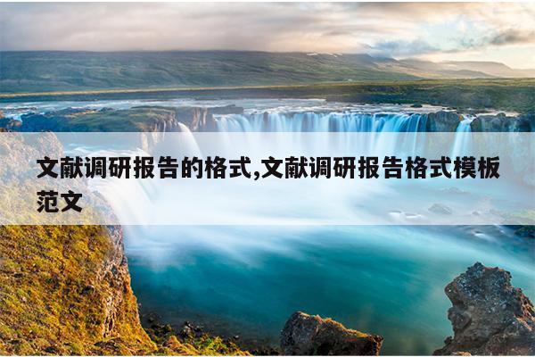 文献调研报告的格式,文献调研报告格式模板范文