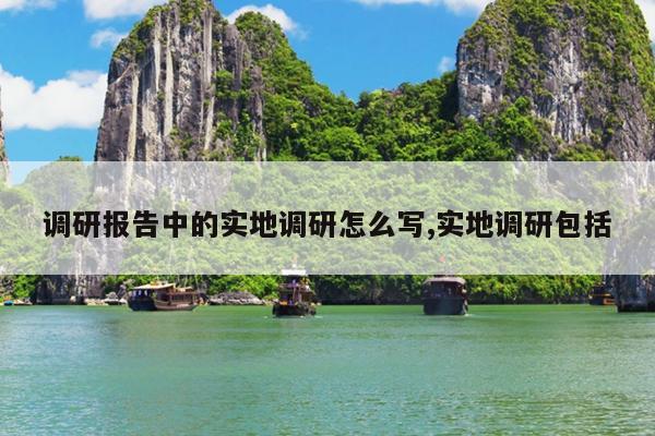 调研报告中的实地调研怎么写,实地调研包括