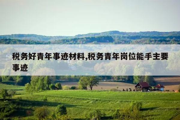 税务好青年事迹材料,税务青年岗位能手主要事迹