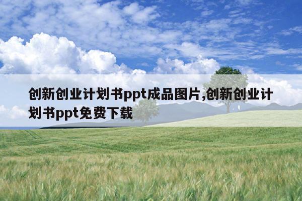 创新创业计划书ppt成品图片,创新创业计划书ppt免费下载