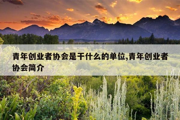 青年创业者协会是干什么的单位,青年创业者协会简介