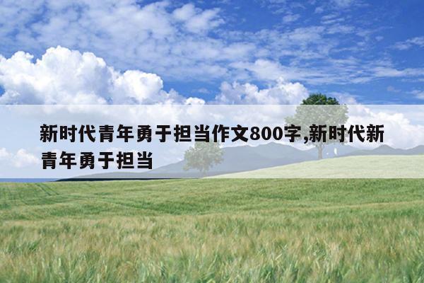 新时代青年勇于担当作文800字,新时代新青年勇于担当