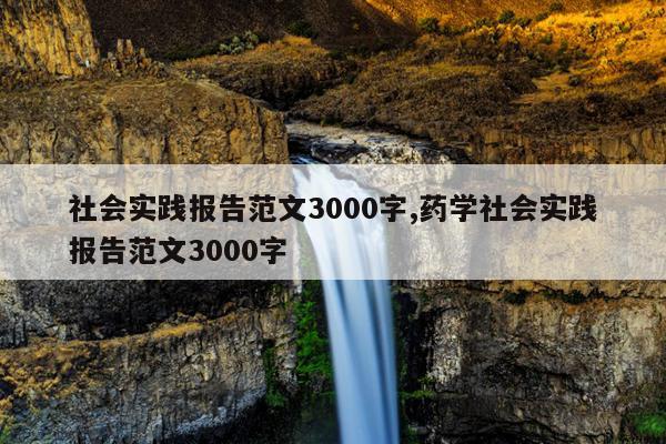 社会实践报告范文3000字,药学社会实践报告范文3000字