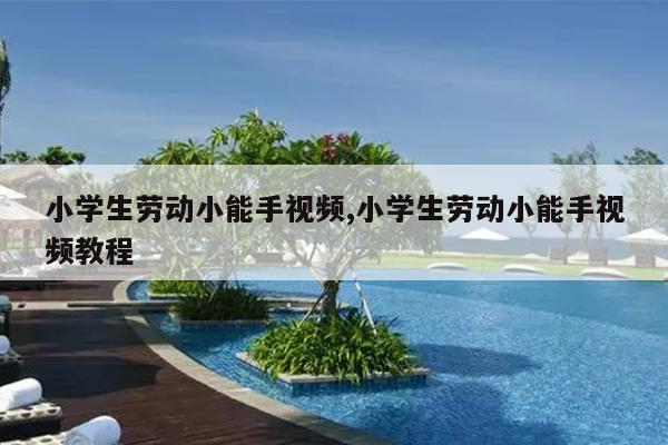 小学生劳动小能手视频,小学生劳动小能手视频教程