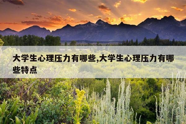 大学生心理压力有哪些,大学生心理压力有哪些特点