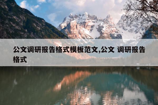 公文调研报告格式模板范文,公文 调研报告格式