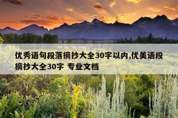 优秀语句段落摘抄大全30字以内,优美语段摘抄大全30字 专业文档