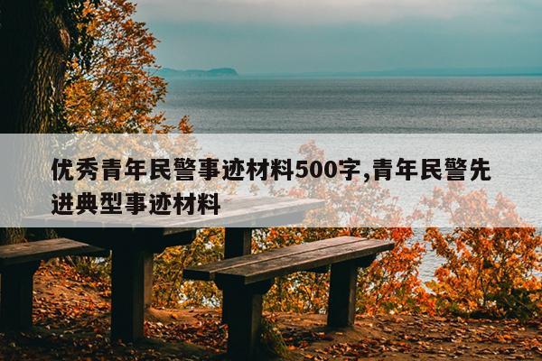优秀青年民警事迹材料500字,青年民警先进典型事迹材料
