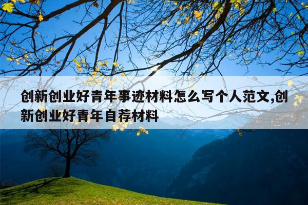 创新创业好青年事迹材料怎么写个人范文,创新创业好青年自荐材料