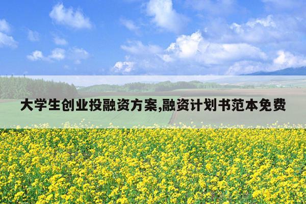 大学生创业投融资方案,融资计划书范本免费