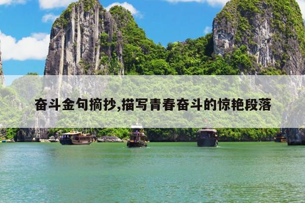 奋斗金句摘抄,描写青春奋斗的惊艳段落