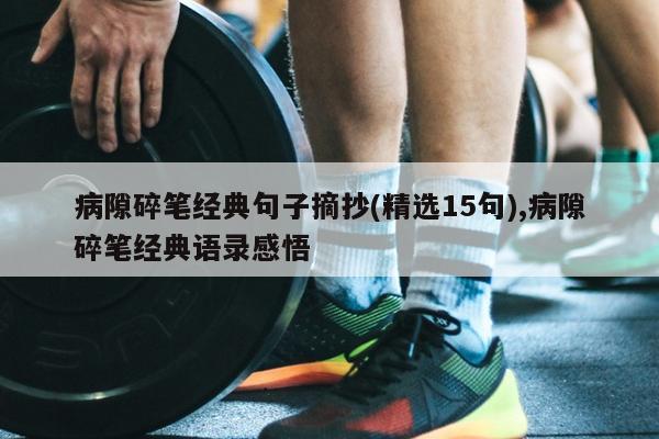 病隙碎笔经典句子摘抄(精选15句),病隙碎笔经典语录感悟